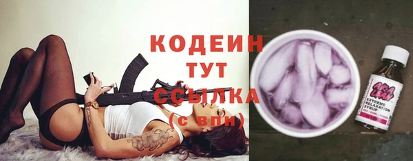 СК Пересвет