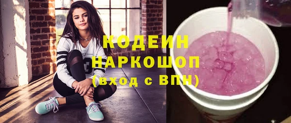 СК Пересвет