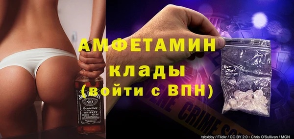 СК Пересвет