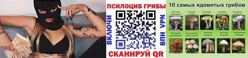 Псилоцибиновые грибы мухоморы  Ликино-Дулёво 